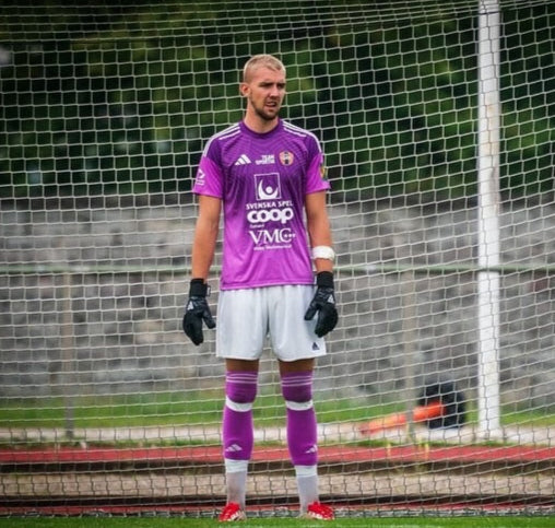 Best goalkeeper gloves sweden